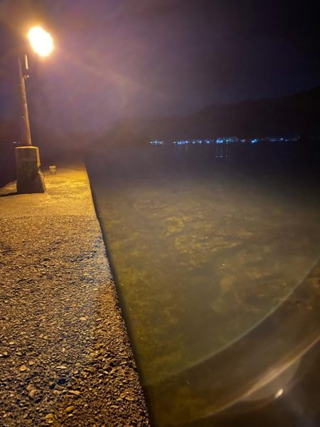 アジング釣査