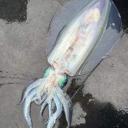 ヤエン