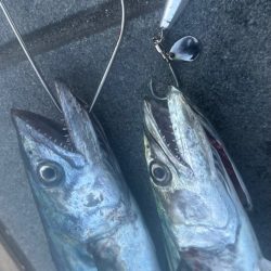 ライトショアジギング🎣