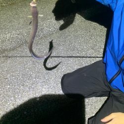 貝塚水路で
