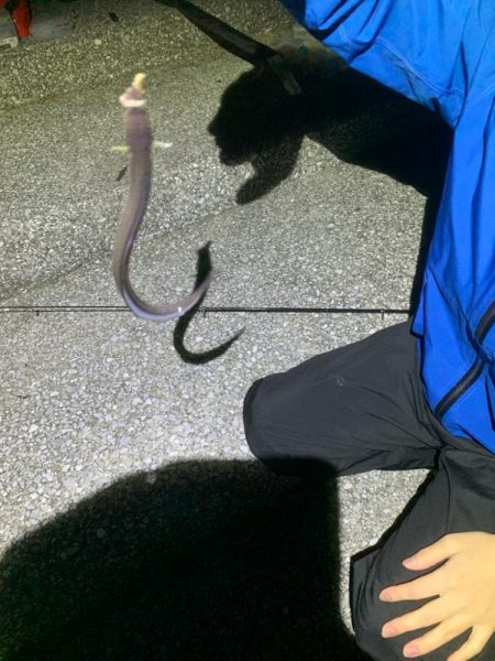 貝塚水路で