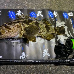 深夜ライトゲーム②