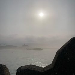 淡路島釣行！