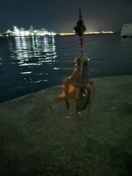タコ1杯