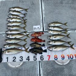 鬼アジ釣り
