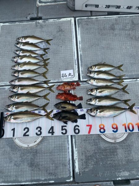 鬼アジ釣り