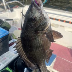 3ヶ月ぶりの釣行（インショア）