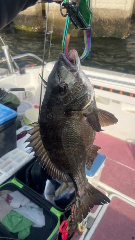 3ヶ月ぶりの釣行（インショア）