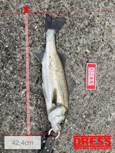 今年初釣果