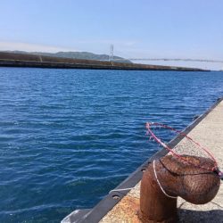 コブダイ釣り