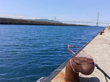 コブダイ釣り