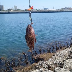 春の津名