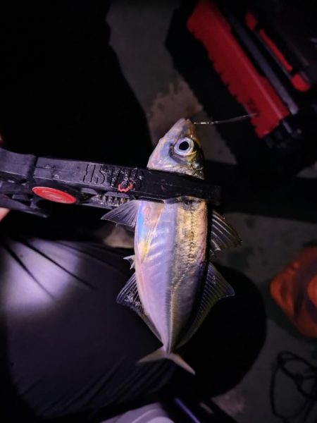 リベンジ釣行