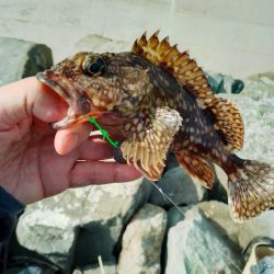 キス後ガシラ