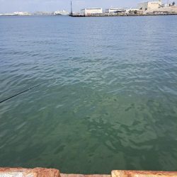 春探しの釣り