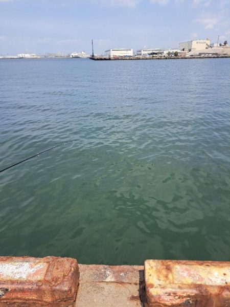 春探しの釣り