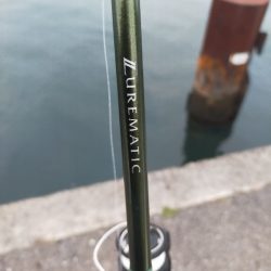 投げサビキで