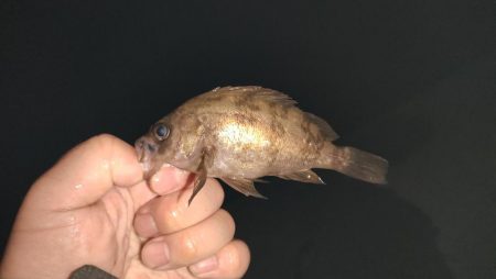 厳しぃ〜