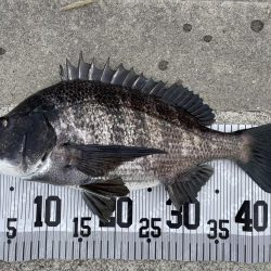 イチノ兄弟、釣果！