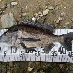 イチノ兄弟、釣果！