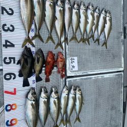 鬼アジ釣り