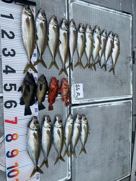 鬼アジ釣り