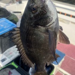 3ヶ月ぶりの釣行（インショア）