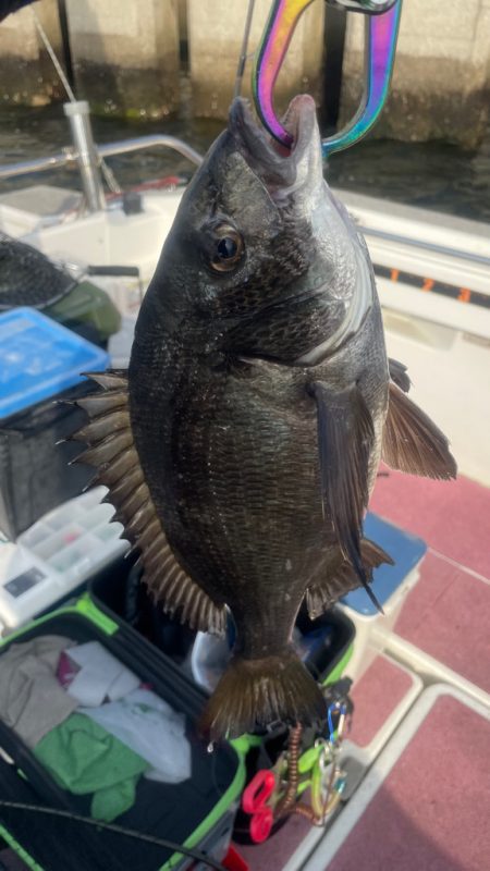 3ヶ月ぶりの釣行（インショア）