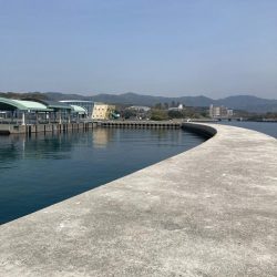 淡路島釣行！