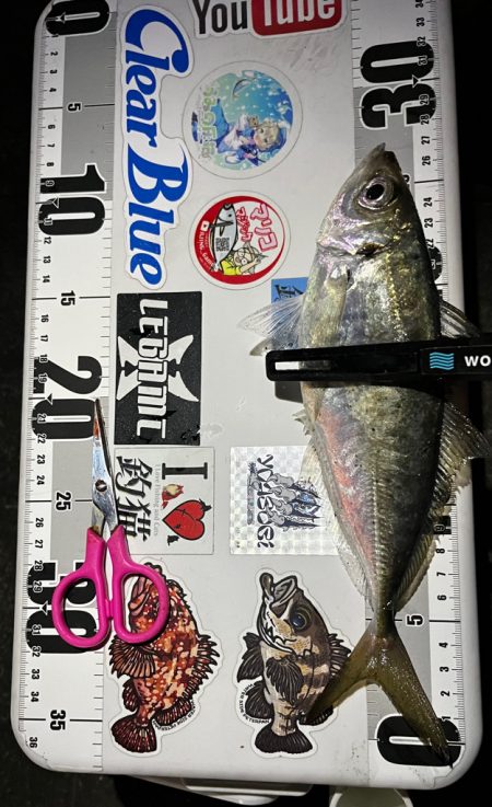 アジング