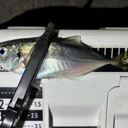 おるのはおるけど〜ポツポツ！