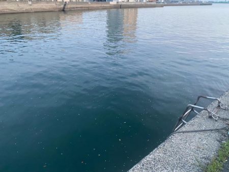 春は苦手！