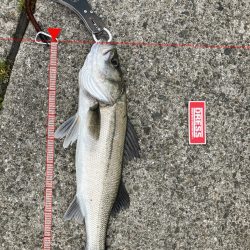 今年初釣果