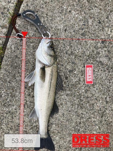 今年初釣果