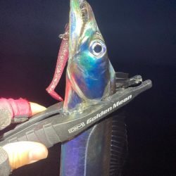 いい感じ