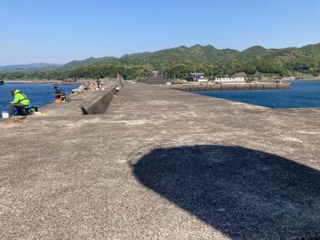 ヘダイ1匹