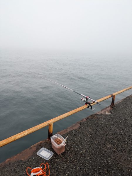 大鯵狙い