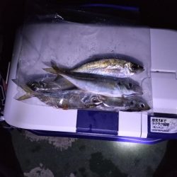 リベンジ釣行