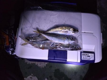 リベンジ釣行