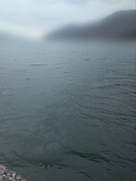 水温12℃