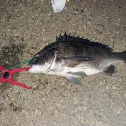 まだまだ深場