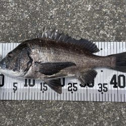 イチノ兄弟、釣果！
