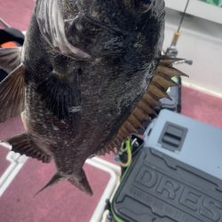 3ヶ月ぶりの釣行（インショア）