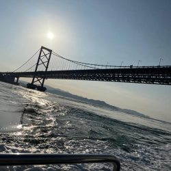 初船釣り
