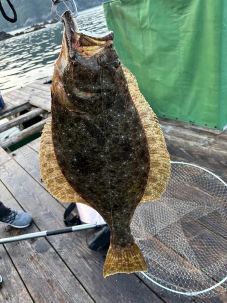 南伊勢筏釣り