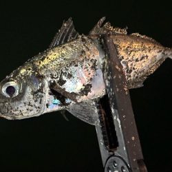 試行錯誤