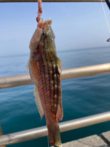 淡路島釣行！