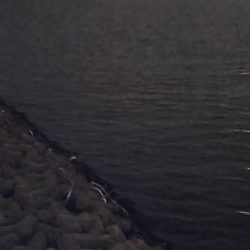 暇つぶし