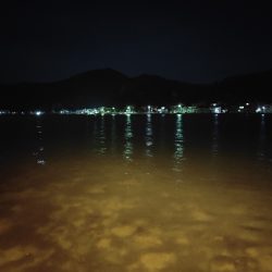 初釣行
