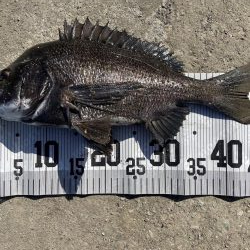 イチノ兄弟、釣果！